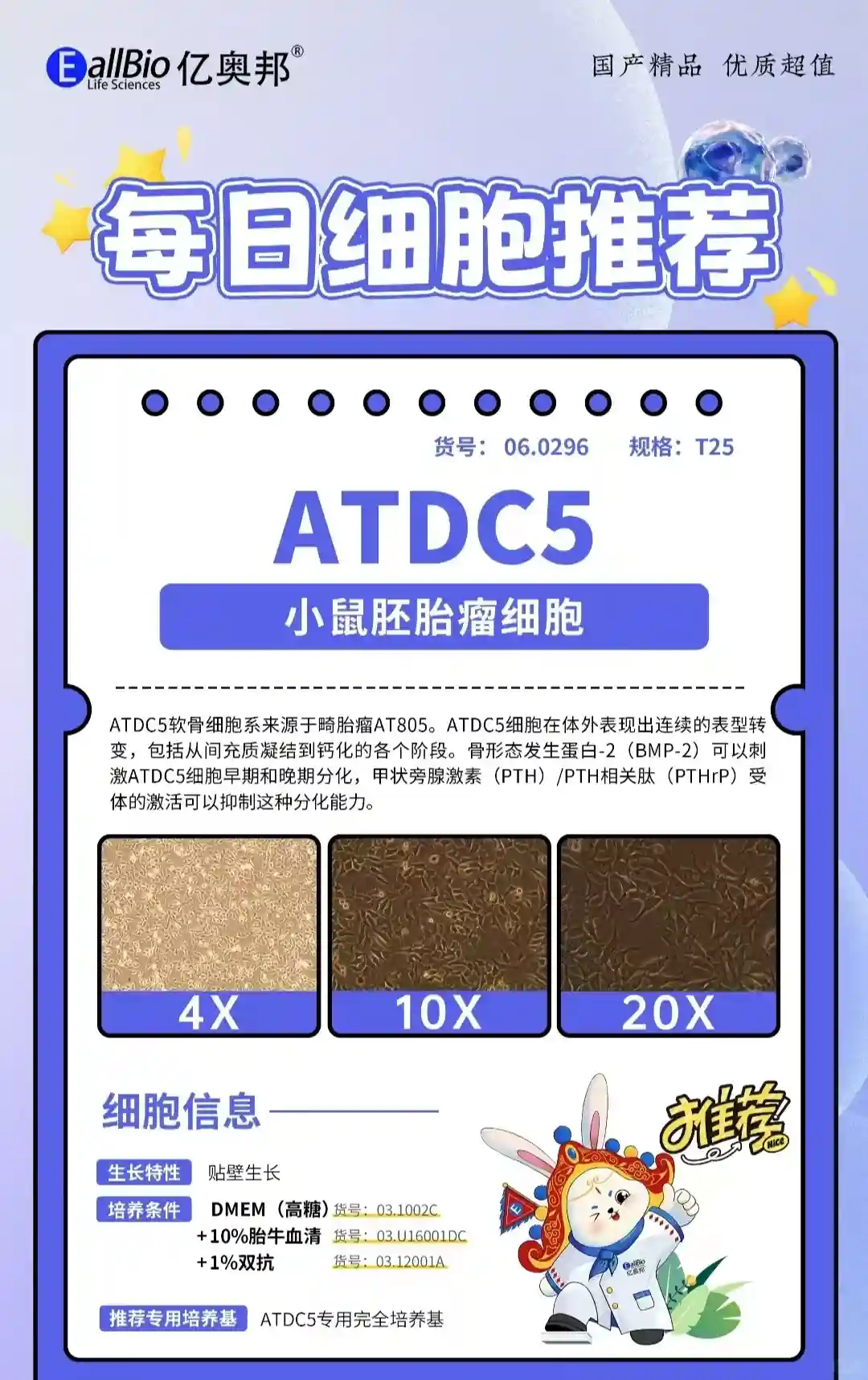 小鼠胚胎瘤 ATDC5 供卵代怀机构有几家