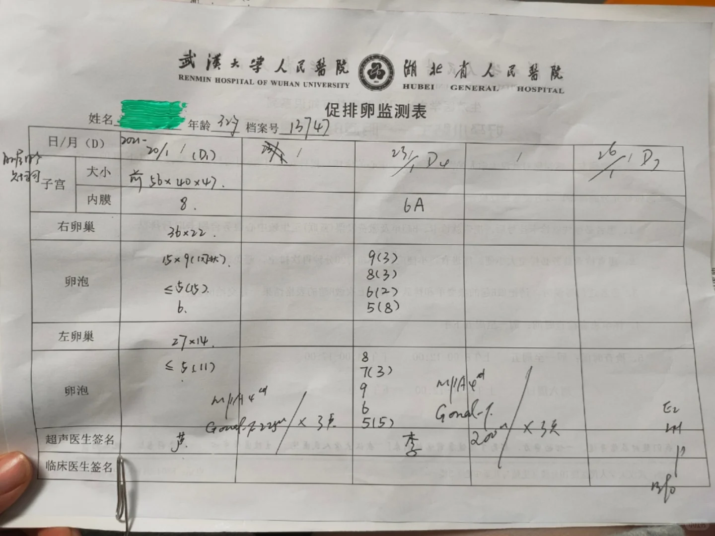 促排期，就是饿饿饿！,代孕哪里做最好