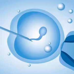 婚检与孕前检查的区别及可否合并进行