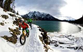 新加坡试管婴儿攻略(去新加坡做试管的流程新鲜出炉) 供卵代孕需要咨询